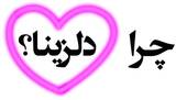دلزینا delzina